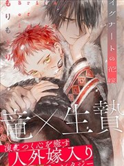 同类言情小说